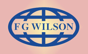 ✓ FG-Wilson YMGC0650 Запчасти Перкинс / Вилсон 