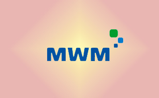 ✓ MWM 6.0530.01.0.0051 Распылитель форсунки 